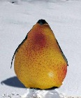 上傳會員：smallfour
下載次數：116